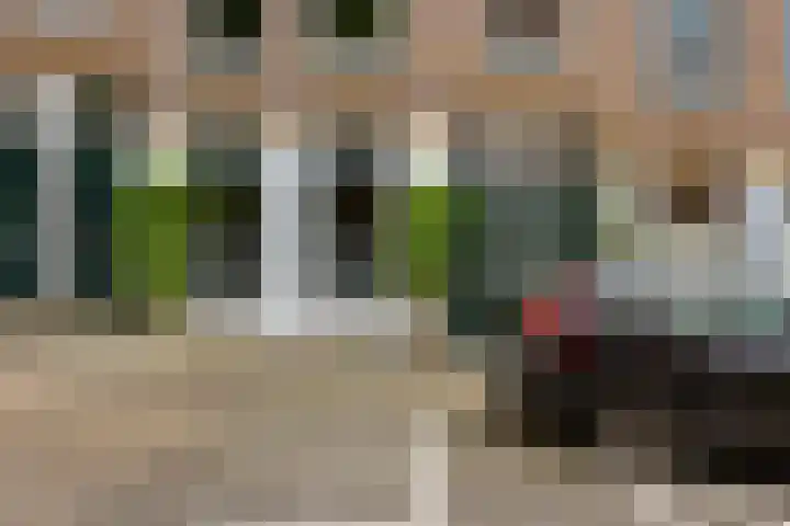 Noordpad 44 Arnhem thumbnail 23