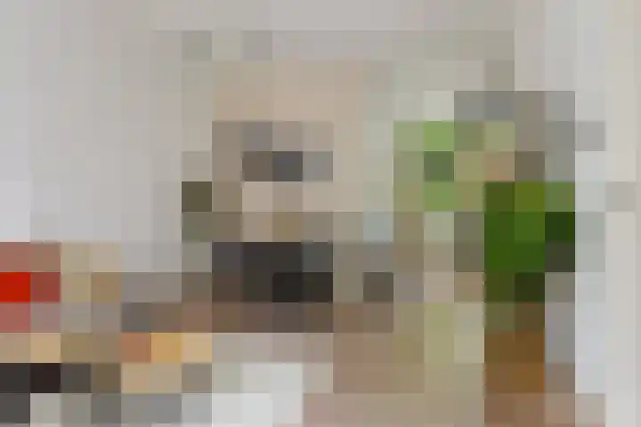 Noordpad 44 Arnhem thumbnail 6