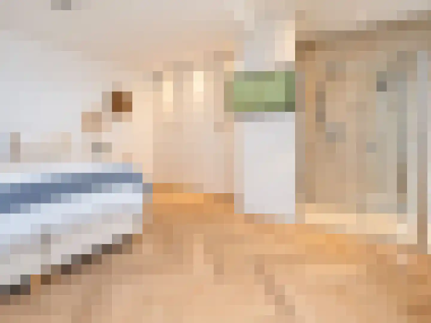 Noordpad 56 Arnhem thumbnail 20