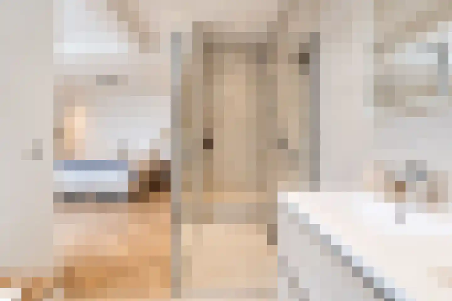 Noordpad 56 Arnhem thumbnail 24