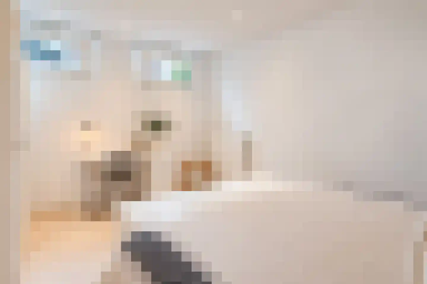 Noordpad 56 Arnhem thumbnail 30