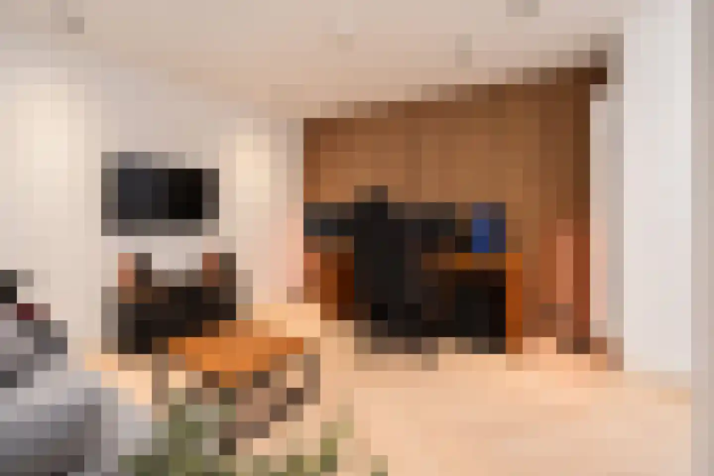 Noordpad 56 Arnhem thumbnail 33