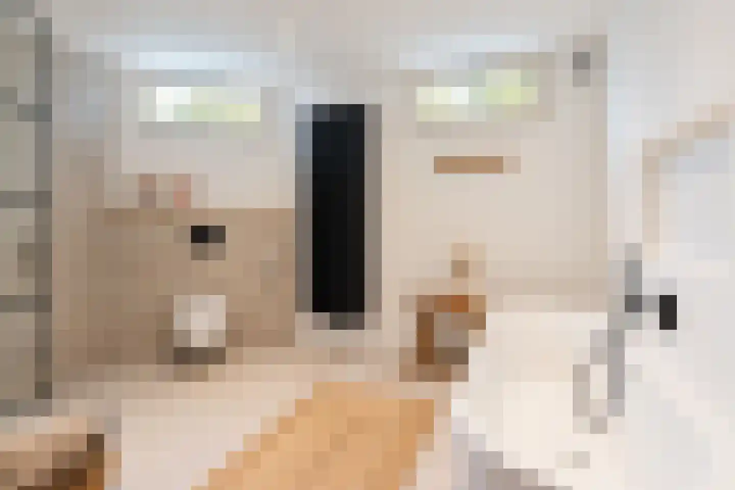 Noordpad 56 Arnhem thumbnail 39