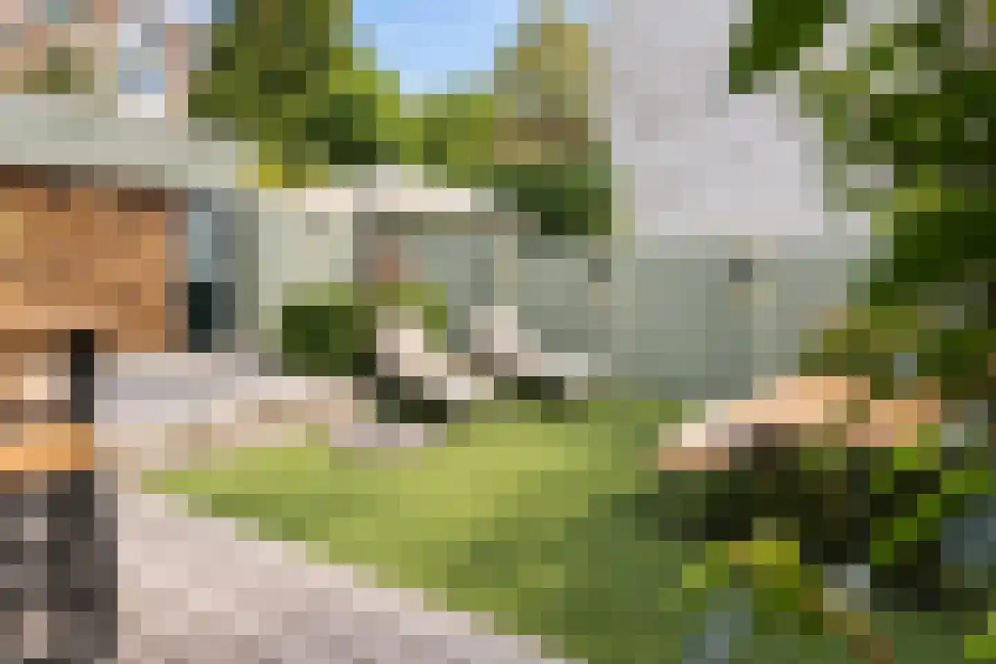 Noordpad 56 Arnhem thumbnail 45