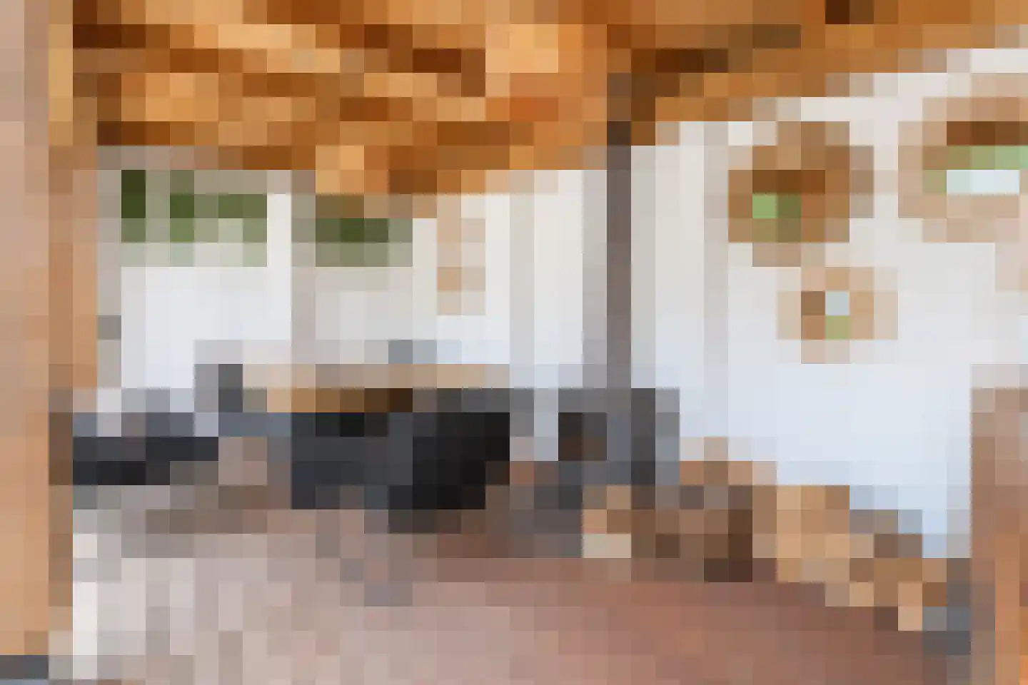 Noordpad 56 Arnhem thumbnail 52