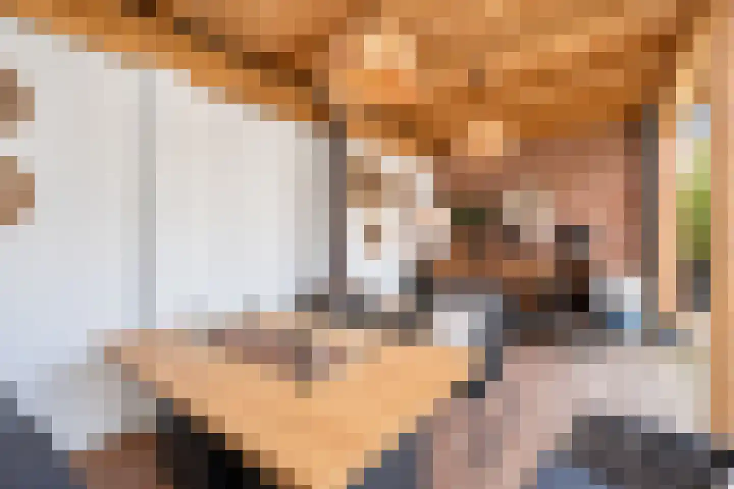 Noordpad 56 Arnhem thumbnail 53
