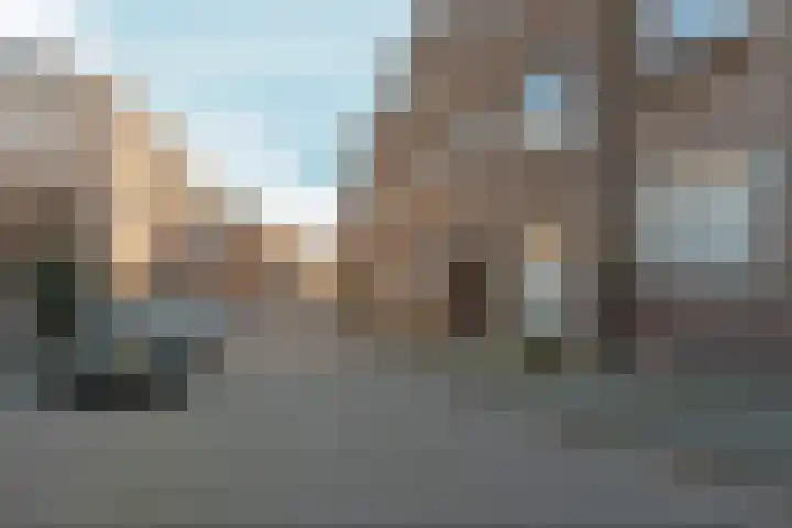 Noordpad 61 Arnhem thumbnail 10