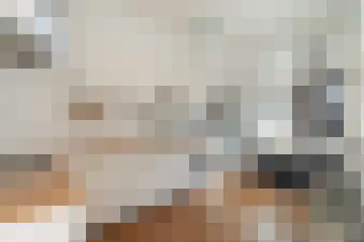 Noordpad 61 Arnhem thumbnail 11