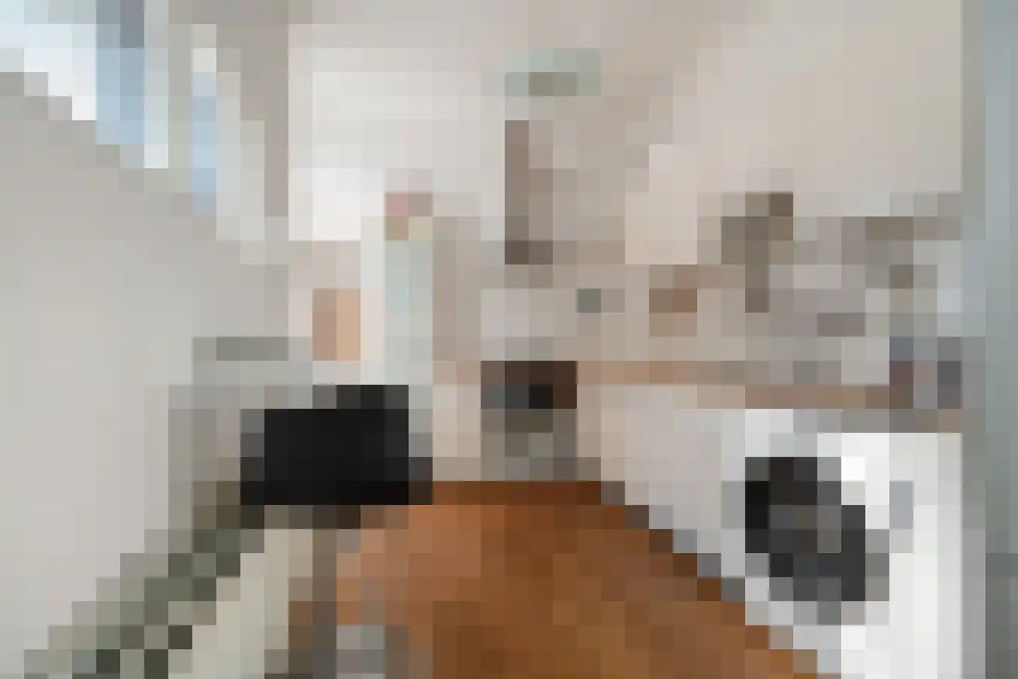 Noordpad 61 Arnhem thumbnail 13