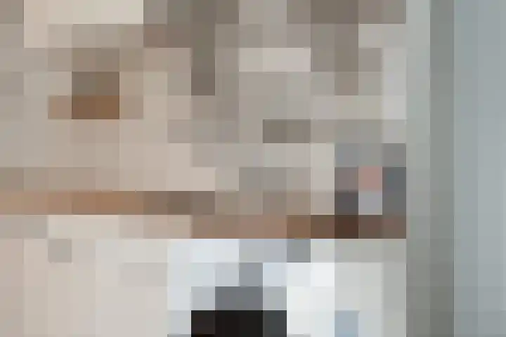 Noordpad 61 Arnhem thumbnail 14
