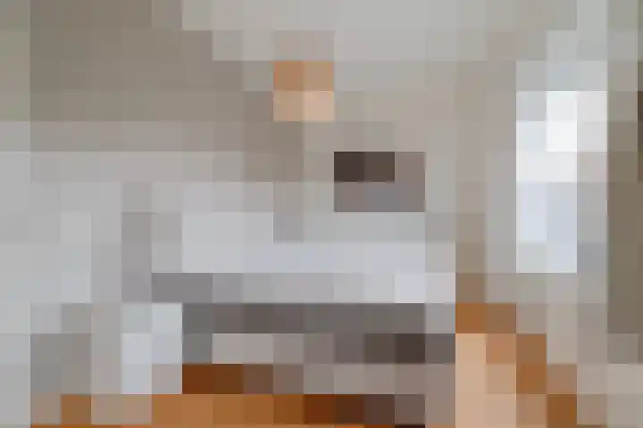 Noordpad 61 Arnhem thumbnail 16