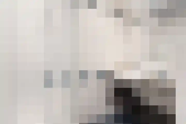 Noordpad 61 Arnhem thumbnail 19