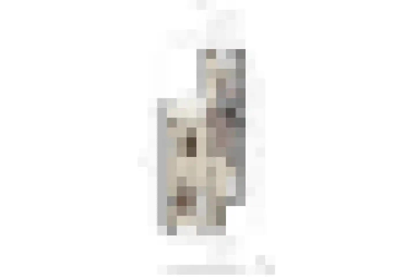 Noordpad 61 Arnhem thumbnail 22