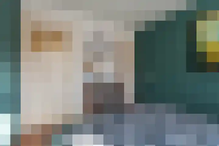 Noordpad 61 Arnhem thumbnail 24