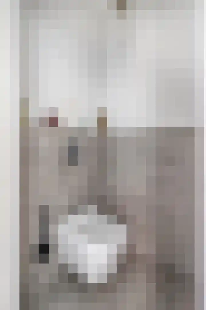 Noordpad 61 Arnhem thumbnail 25