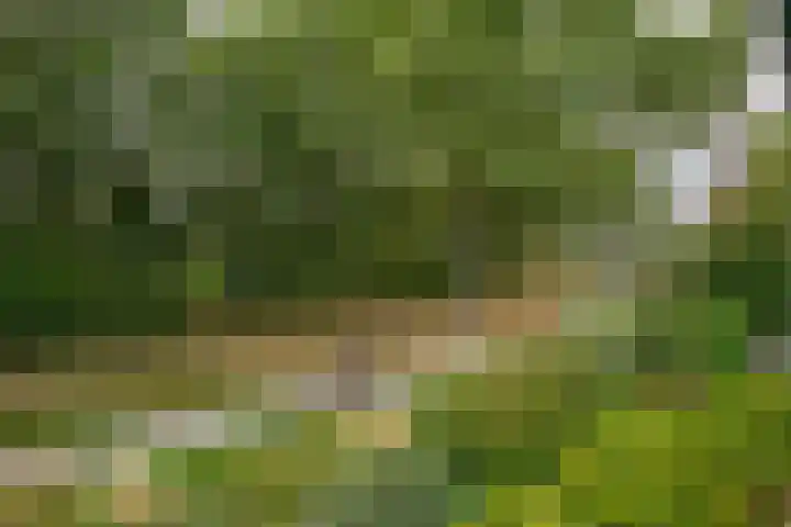 Noordpad 61 Arnhem thumbnail 26