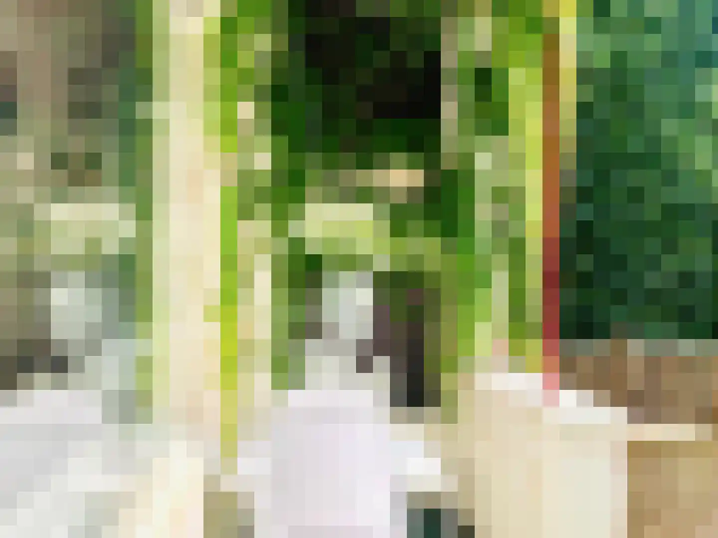 Noordpad 61 Arnhem thumbnail 27