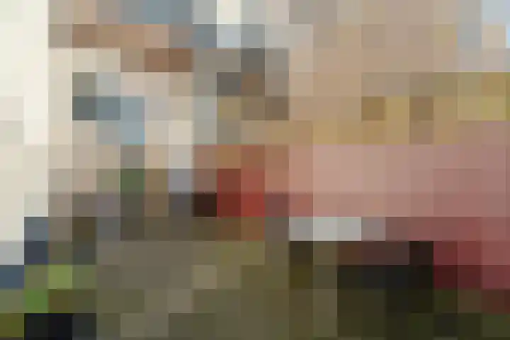 Noordpad 61 Arnhem thumbnail 27