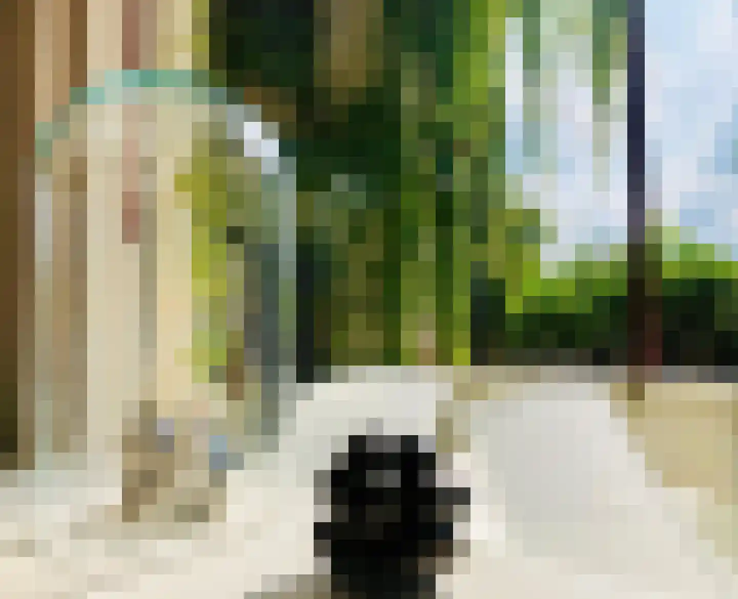 Noordpad 61 Arnhem thumbnail 28