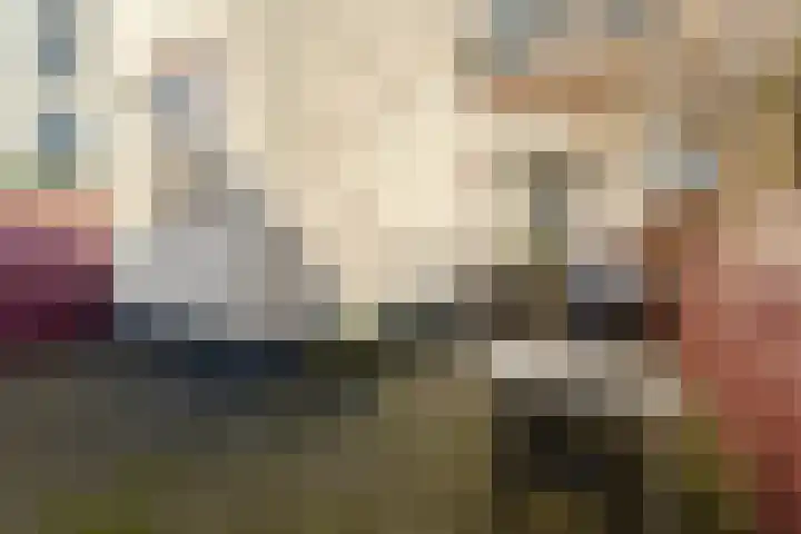 Noordpad 61 Arnhem thumbnail 28