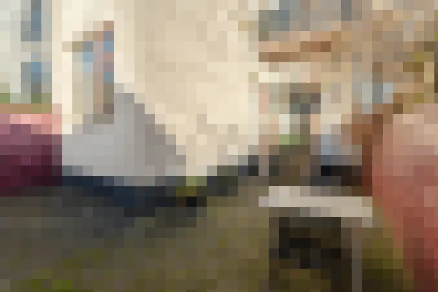 Noordpad 61 Arnhem thumbnail 30