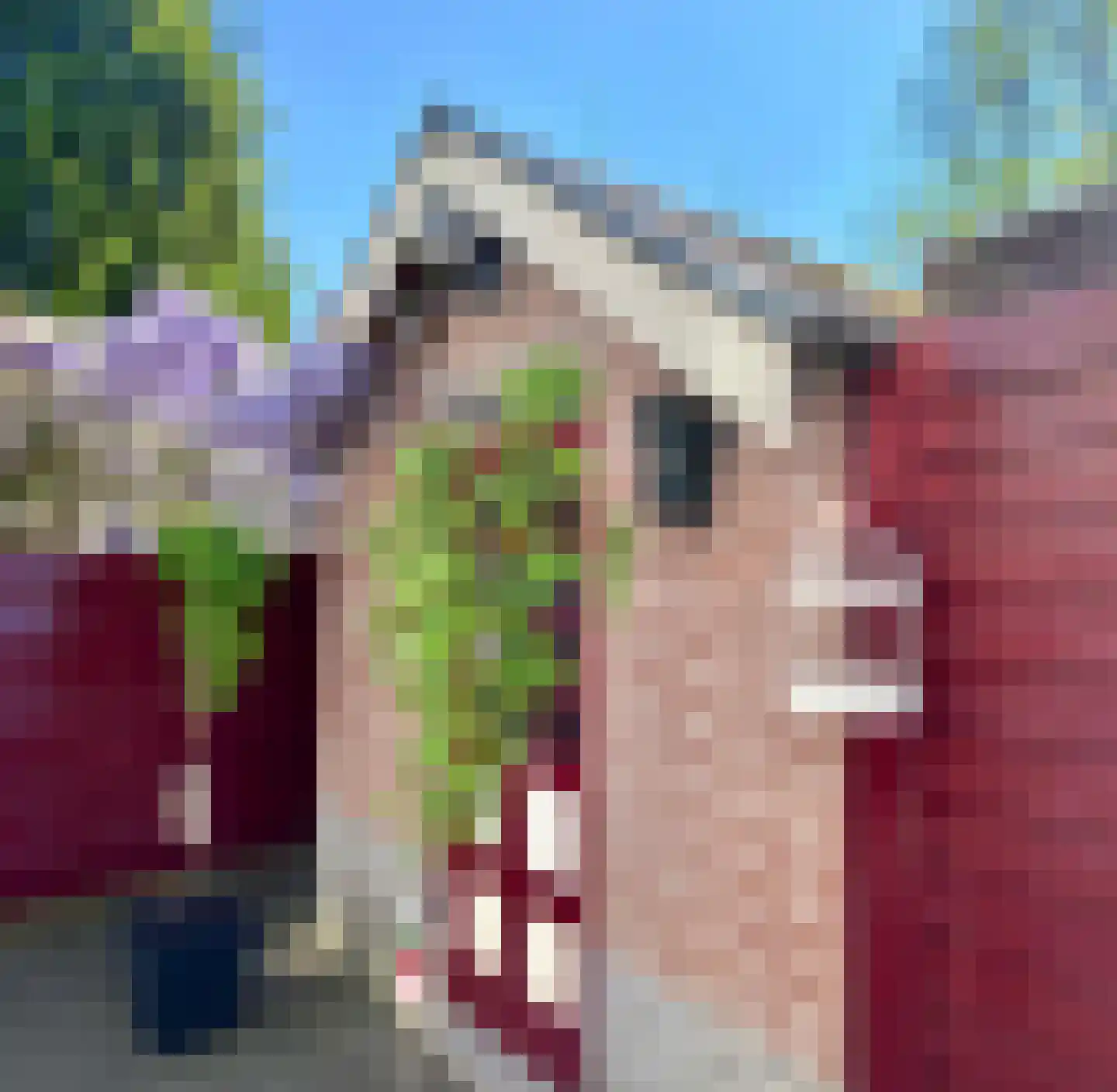 Noordpad 61 Arnhem thumbnail 31