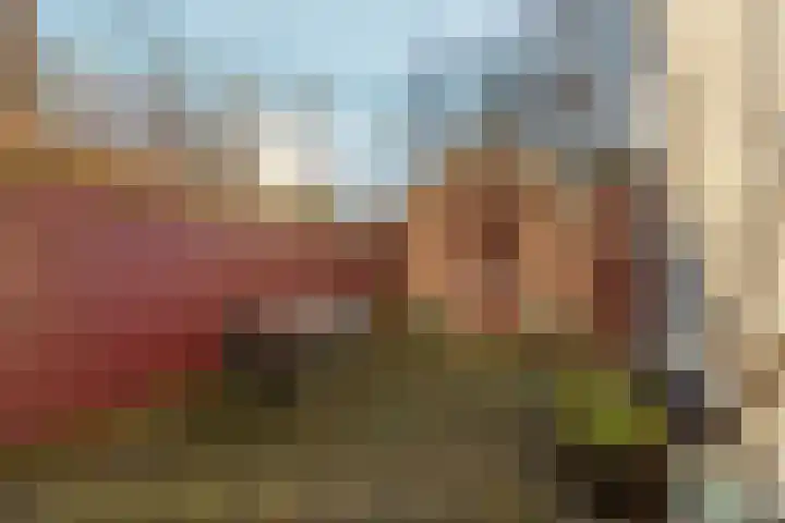 Noordpad 61 Arnhem thumbnail 33
