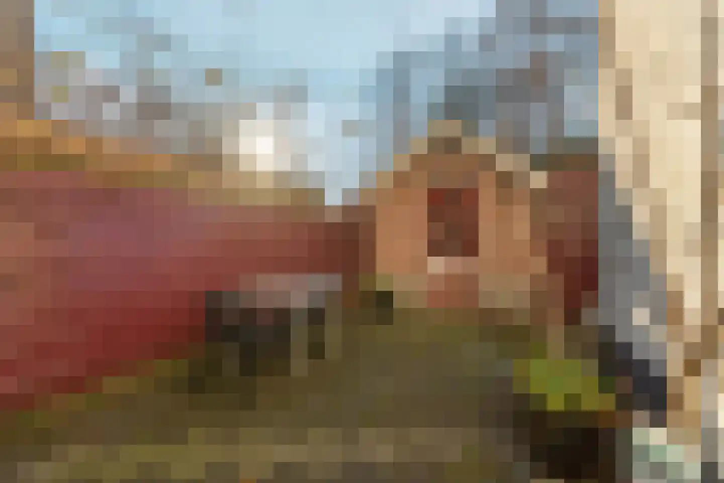 Noordpad 61 Arnhem thumbnail 36