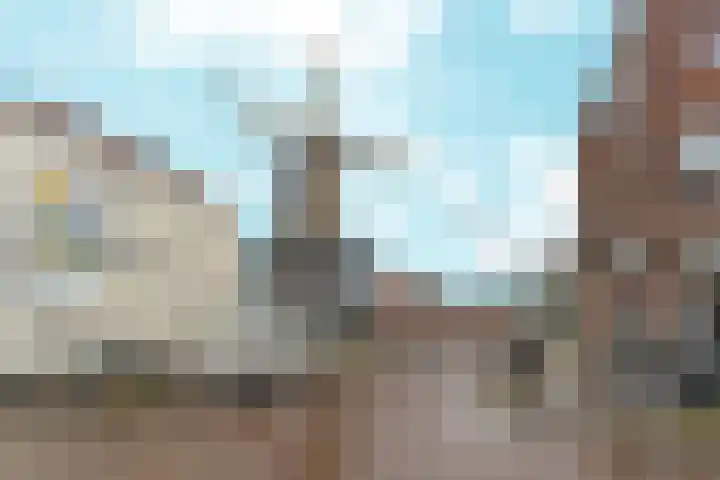 Noordpad 61 Arnhem thumbnail 43
