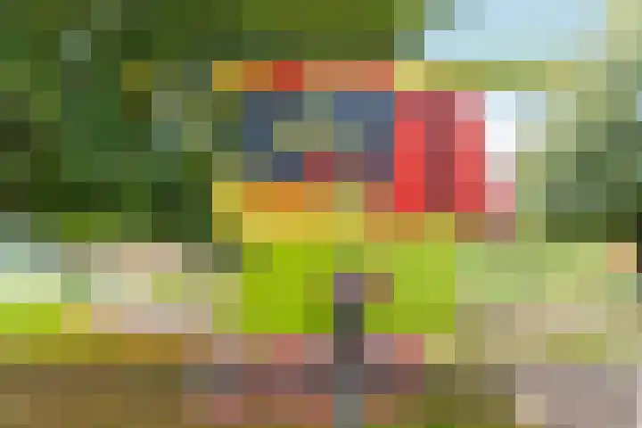 Noordpad 61 Arnhem thumbnail 49