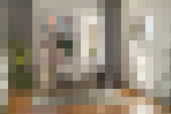 Noordpad 61 Arnhem thumbnail 5