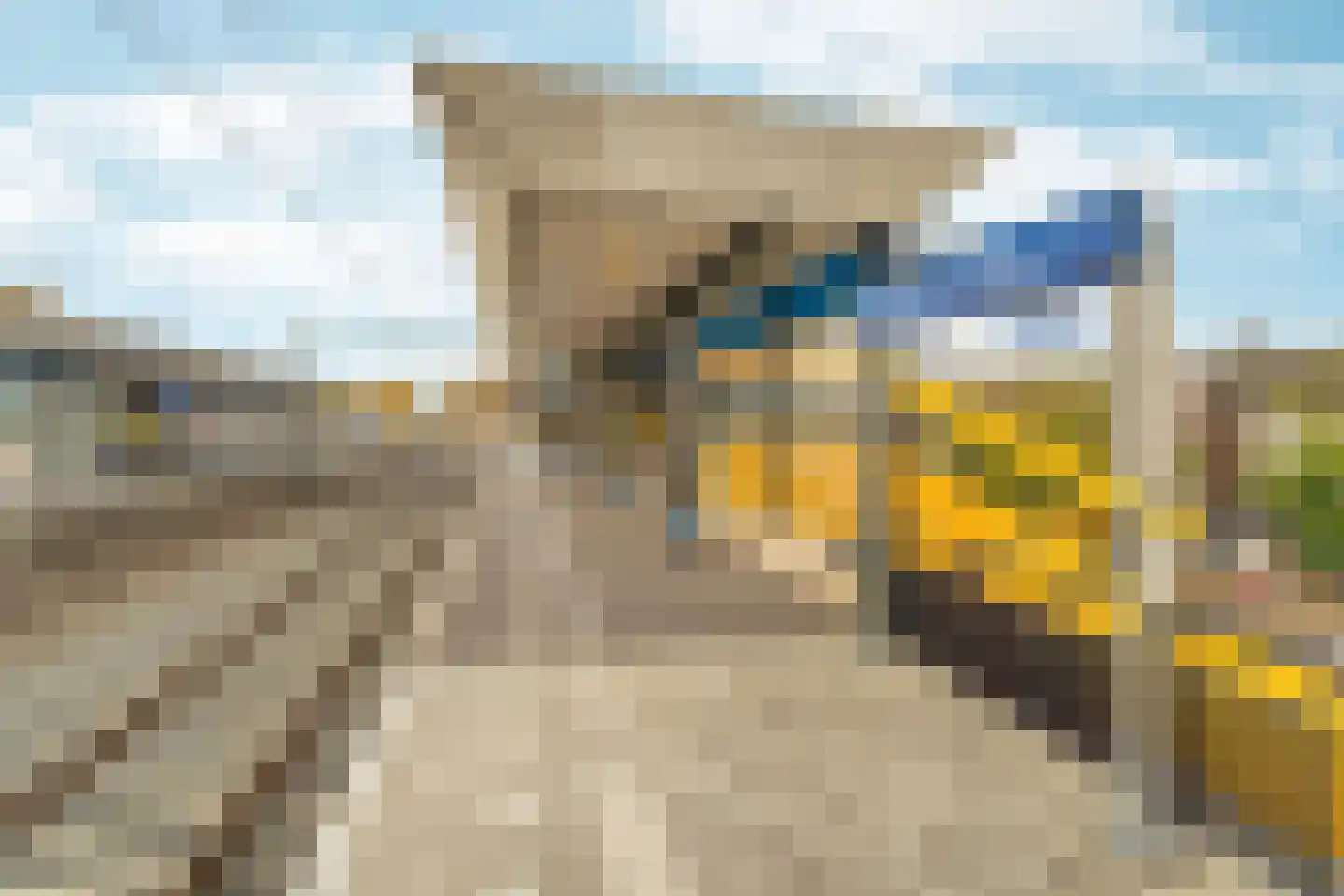 Noordpad 61 Arnhem thumbnail 50