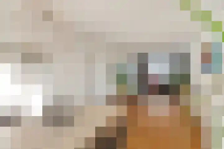 Noordpad 61 Arnhem thumbnail 6