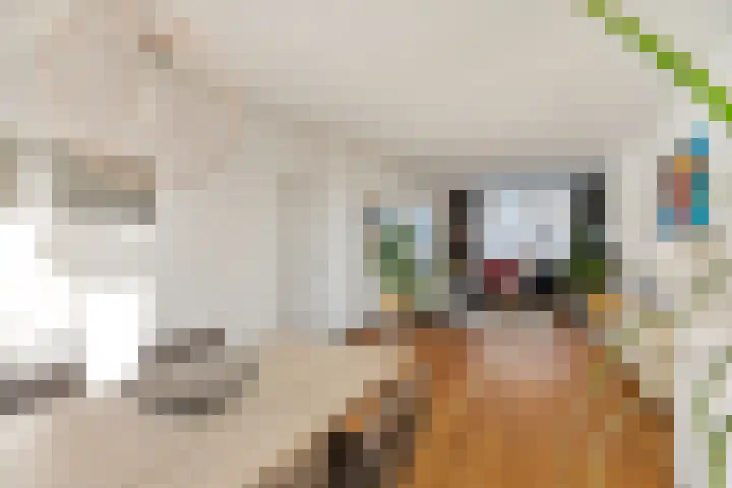 Noordpad 61 Arnhem thumbnail 7