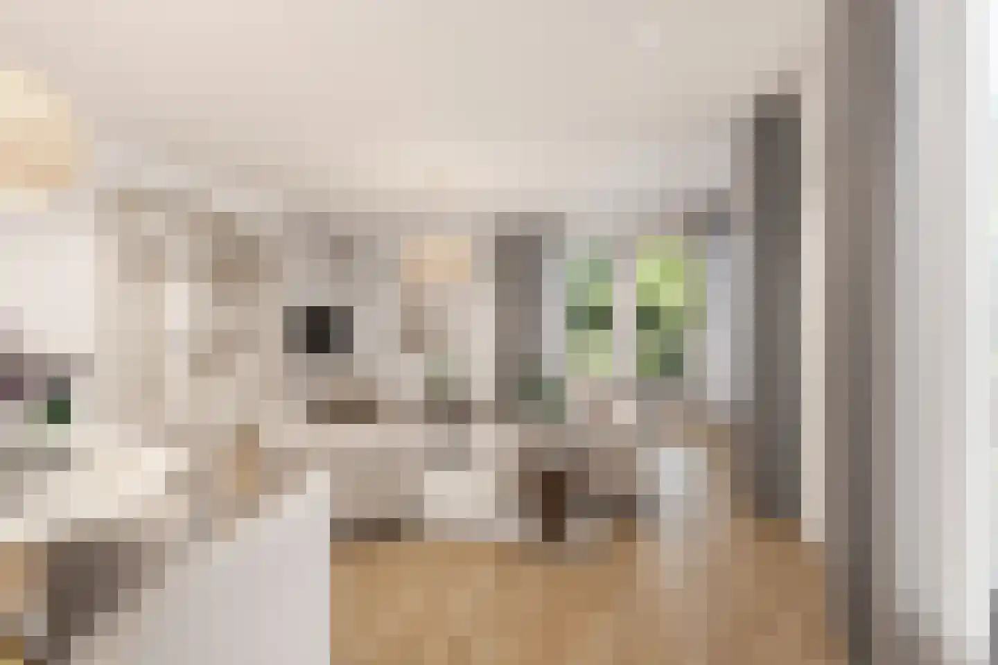 Noordpad 61 Arnhem thumbnail 7