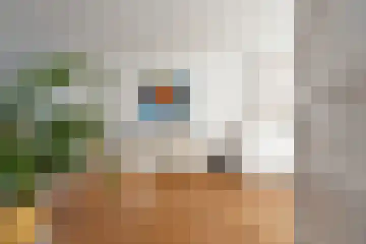 Noordpad 61 Arnhem thumbnail 8