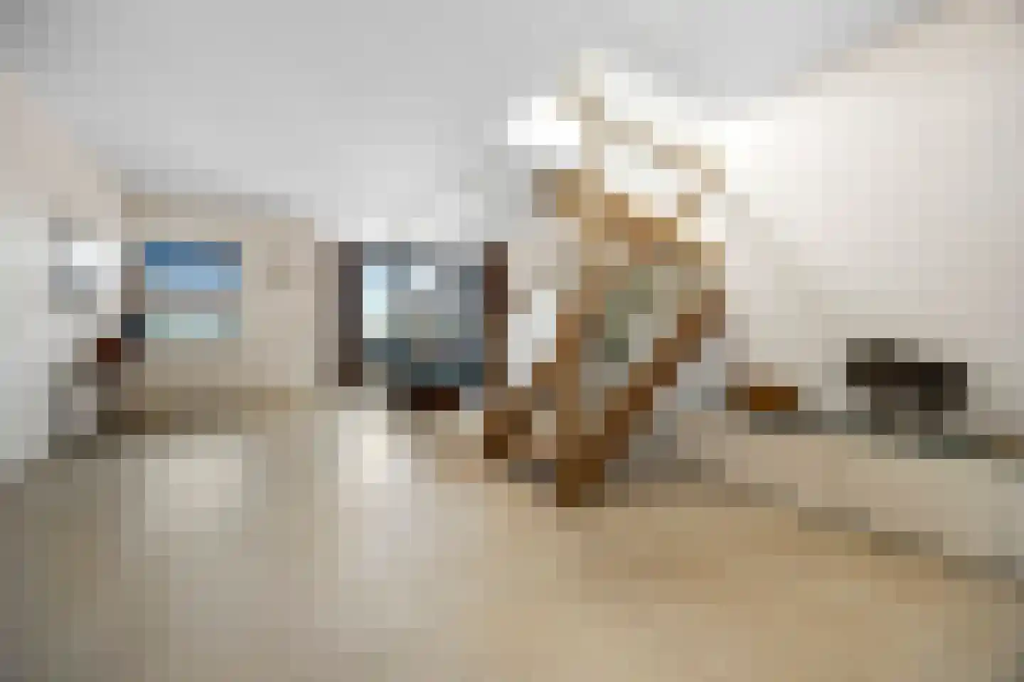 Noordplein 41 Malden thumbnail 47