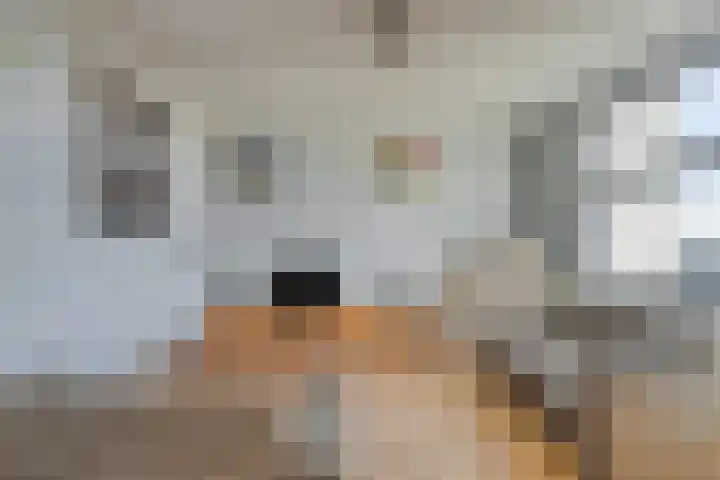 Noordplein 65 Roelofarendsveen thumbnail 4