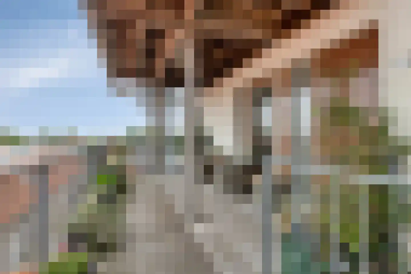 Noordplein 83 Roelofarendsveen thumbnail 17