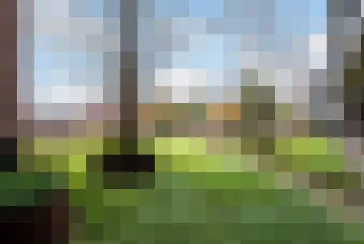 Noordplein 9 Malden thumbnail 21