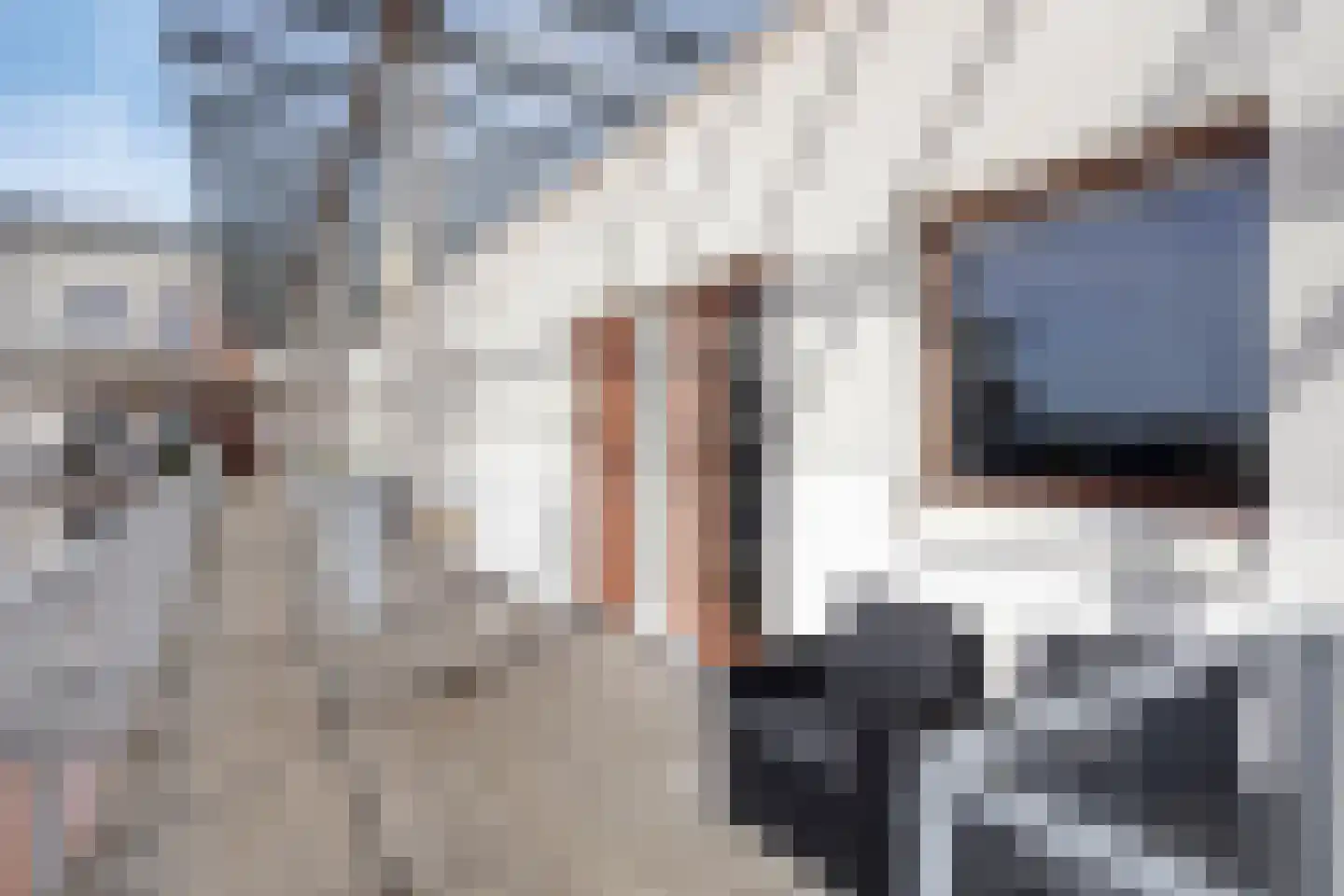 Noordplein 91 Roelofarendsveen thumbnail 19