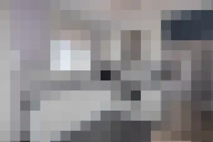 Noordplein 99 Roelofarendsveen thumbnail 10