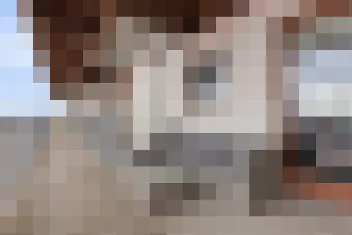 Noordplein 99 Roelofarendsveen thumbnail 18