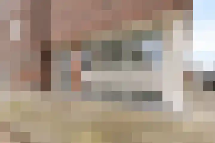 Noordplein 99 Roelofarendsveen thumbnail 24