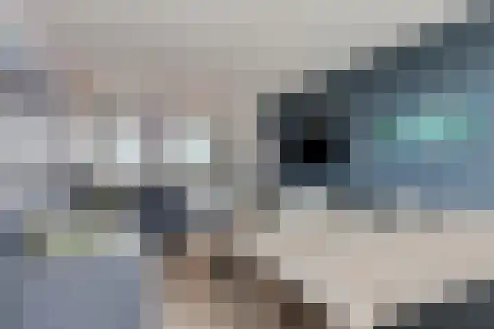 Noordplein 99 Roelofarendsveen thumbnail 7