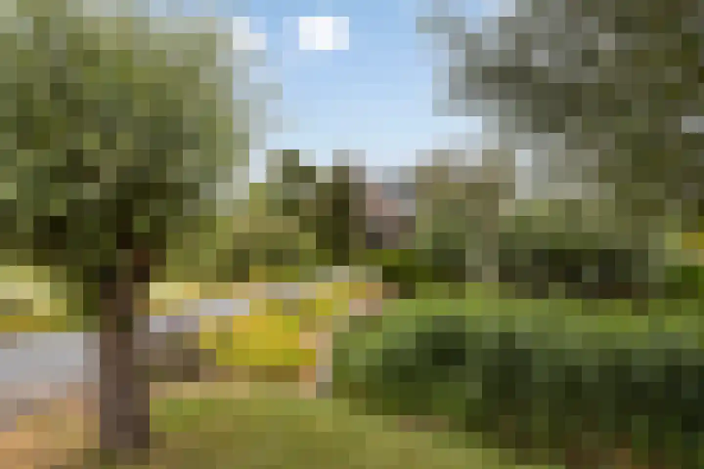 Noordpolder 17 Benthuizen thumbnail 4