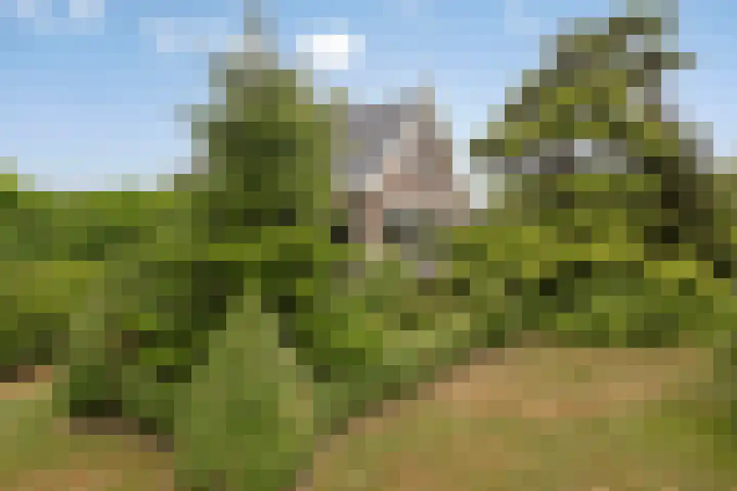Noordpolder 17 Benthuizen thumbnail 41