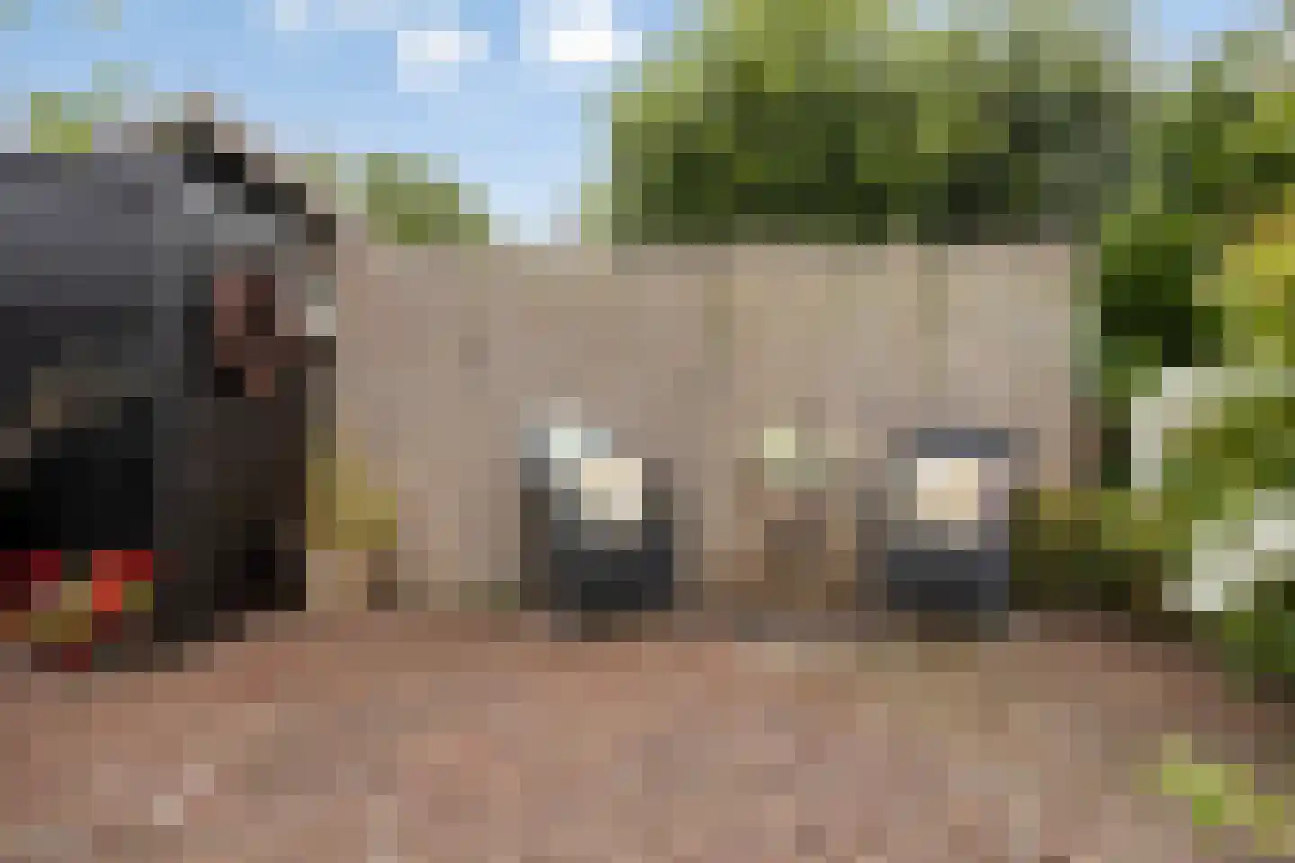 Noordpolder 17 Benthuizen thumbnail 50