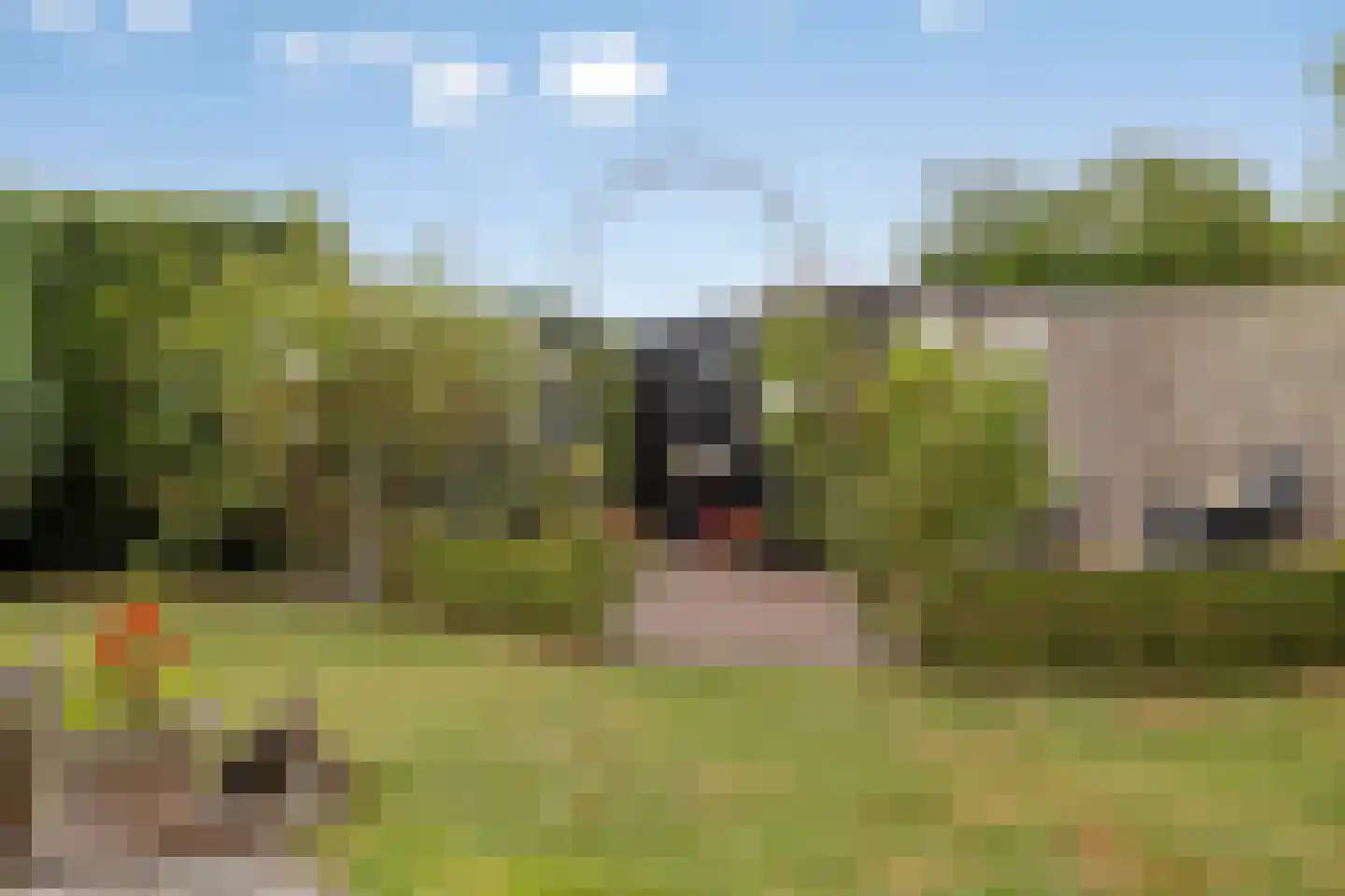 Noordpolder 17 Benthuizen thumbnail 51