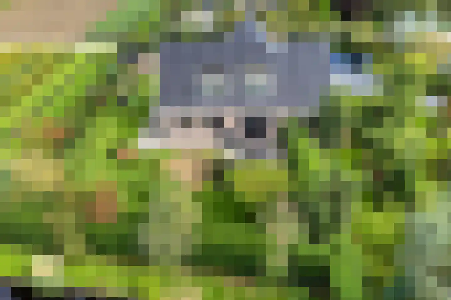 Noordpolder 17 Benthuizen thumbnail 7
